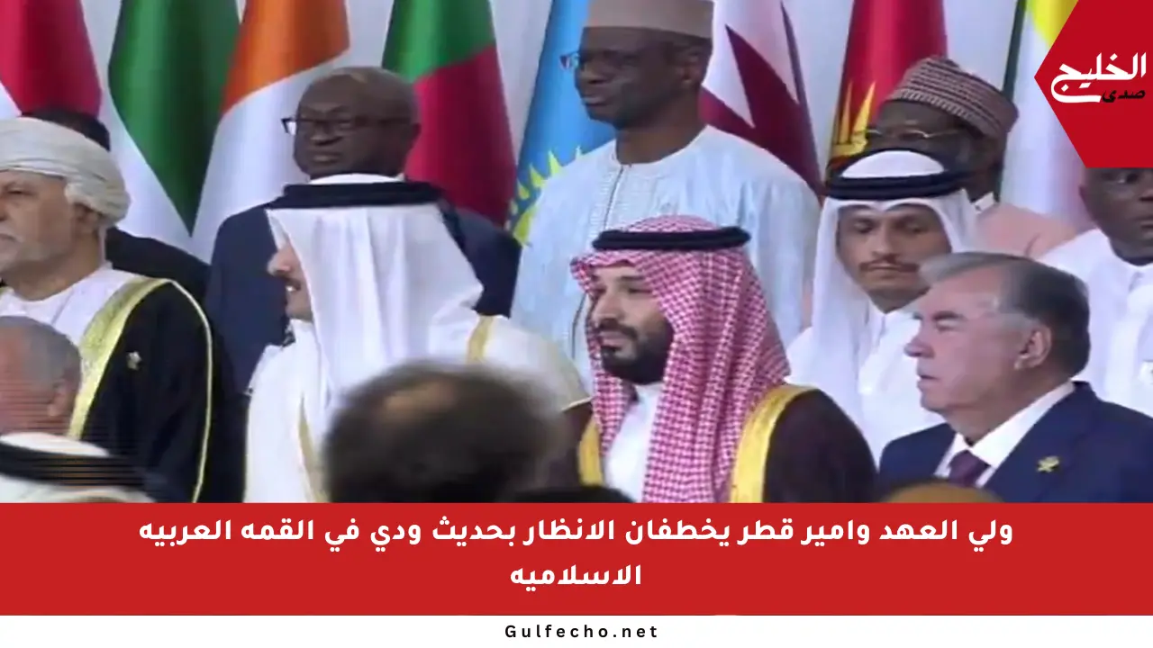 ولي العهد وأمير قطر يخطفان الأنظار بحديث ودي في القمة العربية الإسلامية